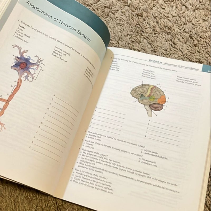 Study Guide for Medical-Surgical Nursing