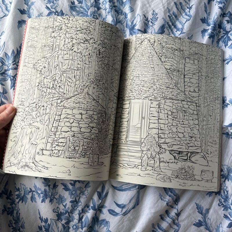 Harry Potter Magical Places and Characters Coloring Book