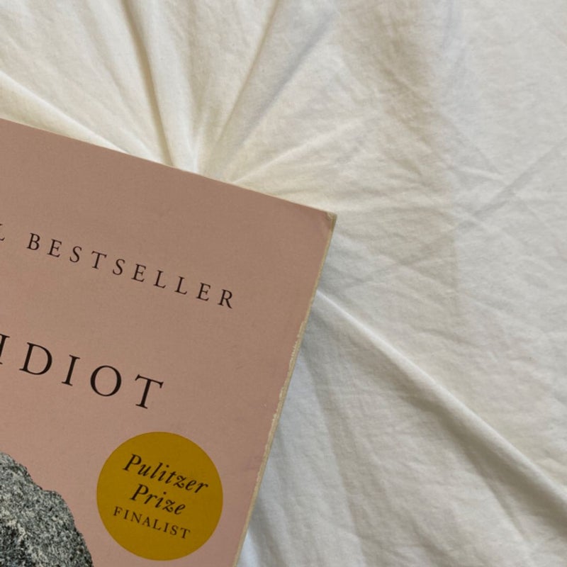 The Idiot