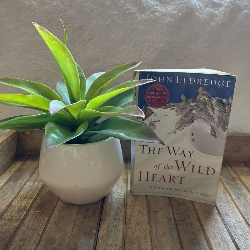The Way of the Wild Heart: A Map for the Masculine Journey by John Eldredge