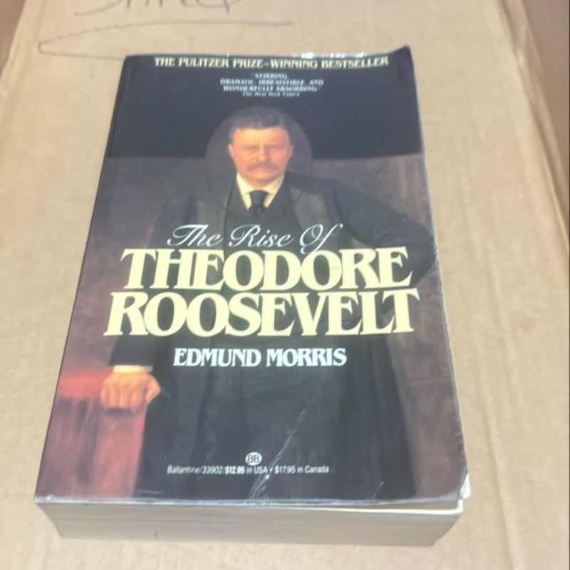 The Rise of Theodore Roosevelt  109