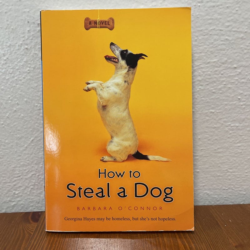 How to Steal a Dog