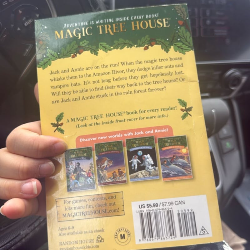 Afternoon on the Amazon