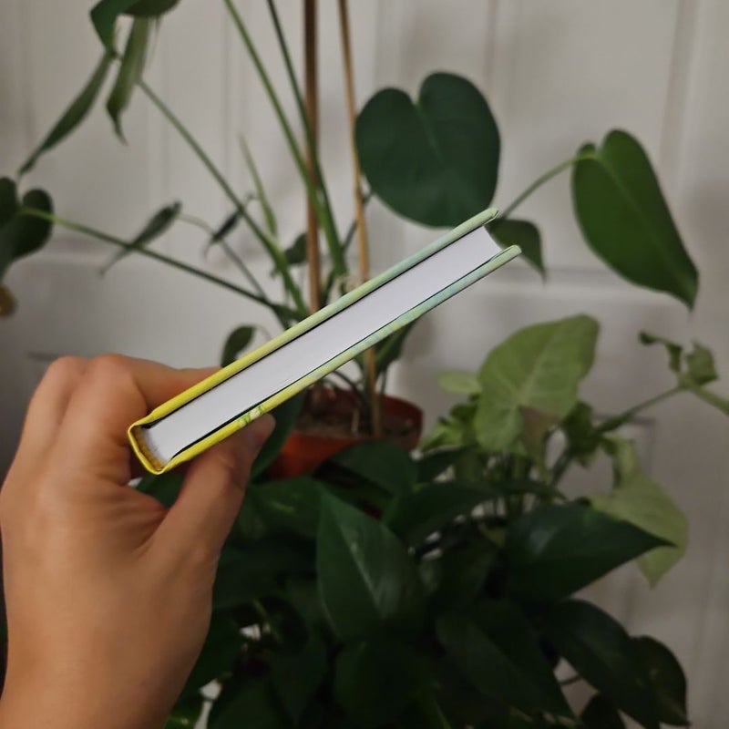 The Little Book of Self-Care for Gemini