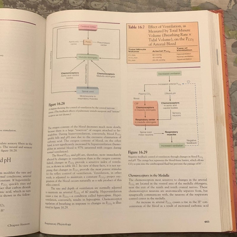 Human Physiology