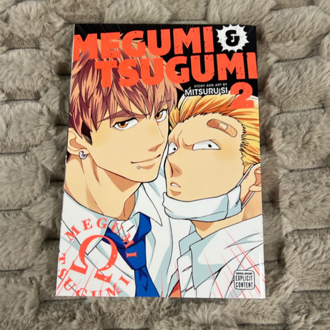 Megumi and Tsugumi, Vol. 2