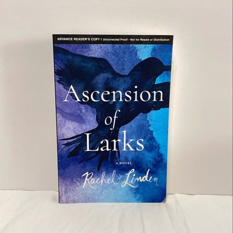 Ascension of Larks