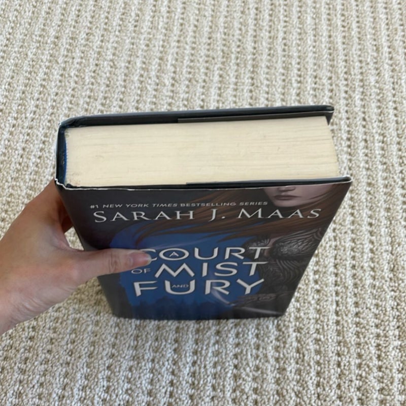 A Court of Mist and Fury original cover 