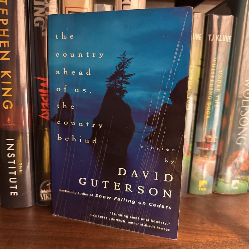 Fiction 📚 | The Country Ahead of Us, the Country Behind by David Guterson | Paperback