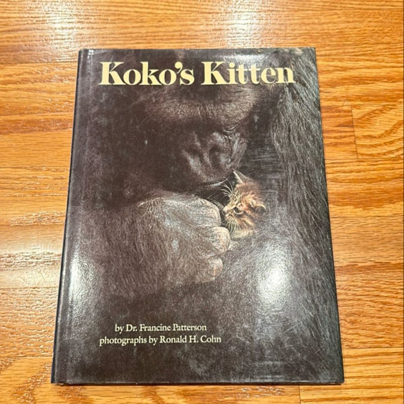 Koko's Kitten