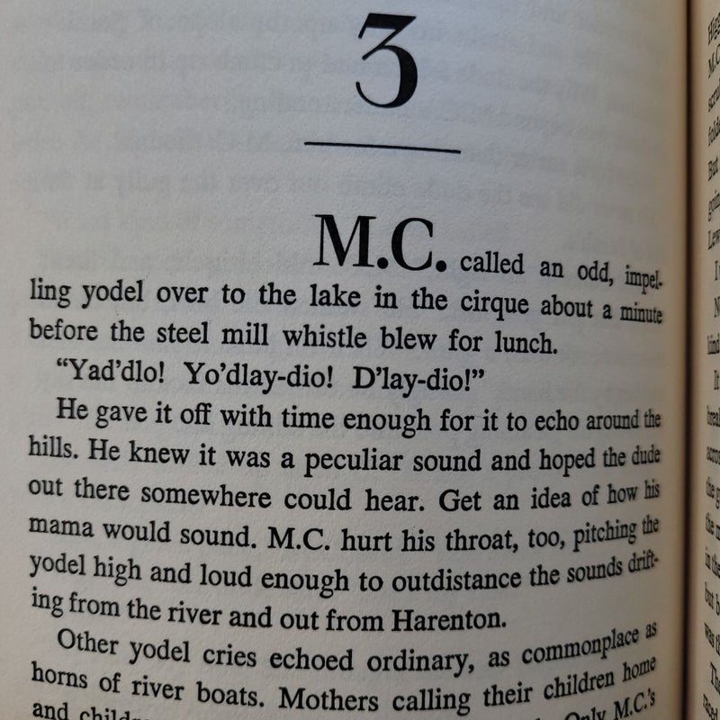 M. C. Higgins, the Great