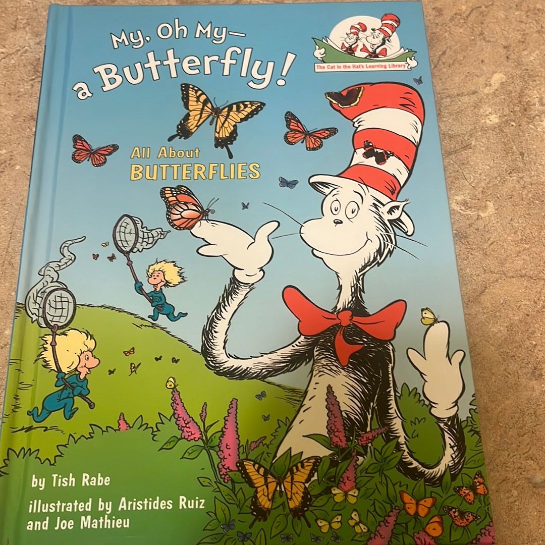 My, Oh My--A Butterfly!