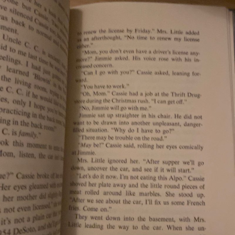 Goodbye, Chicken Little by Betsy Byars