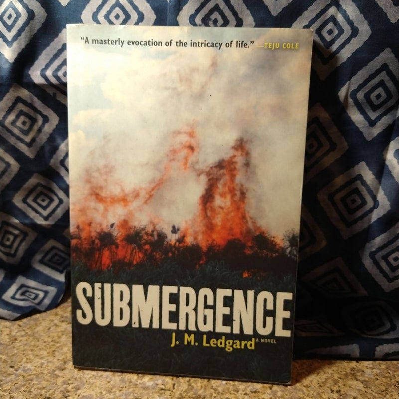 Submergence