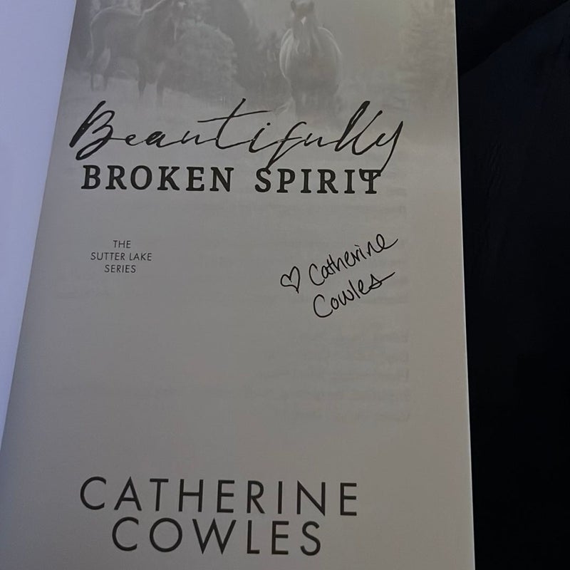 Beautifully Broken Spirit