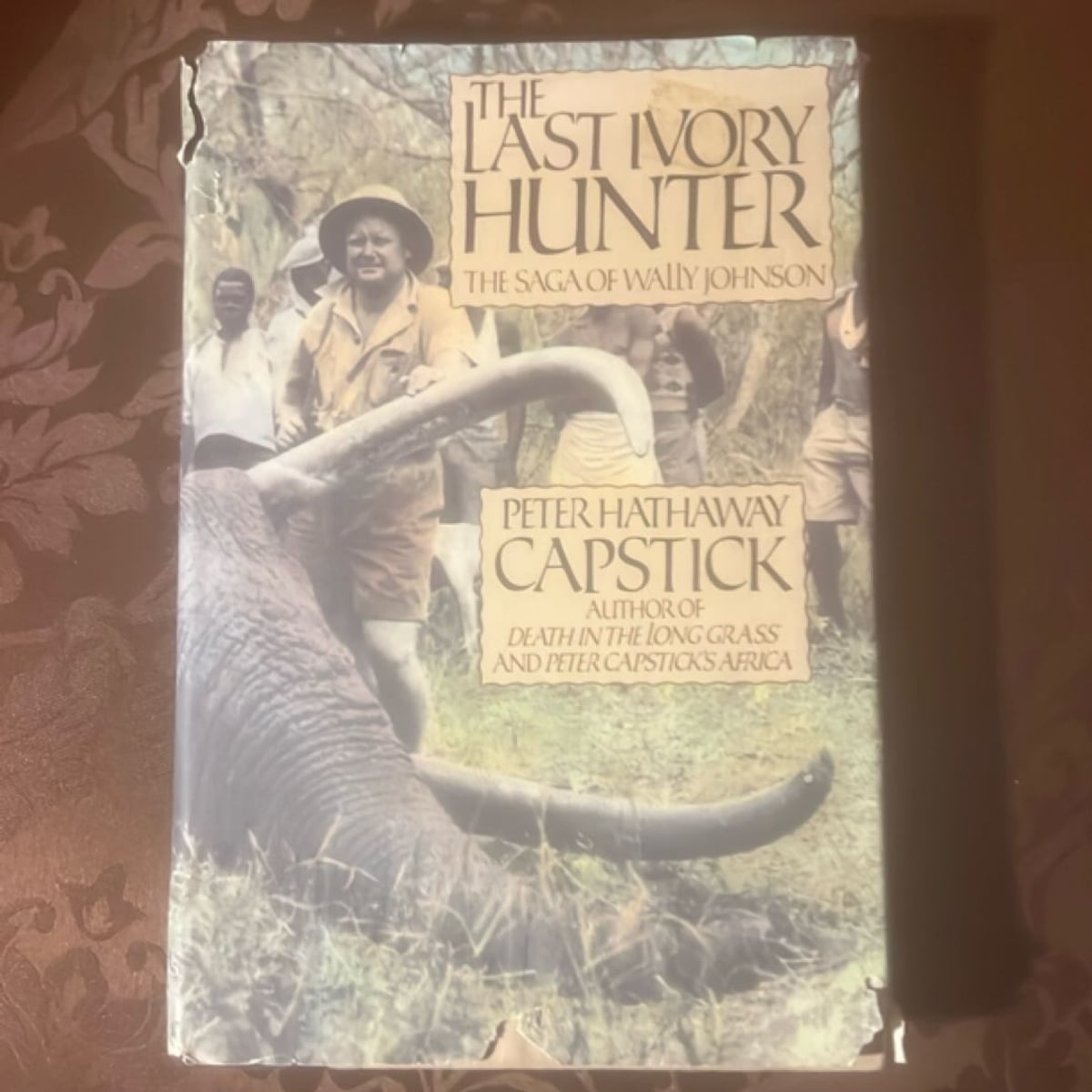 The Last Ivory Hunter by , Hardcover | Pangobooks
