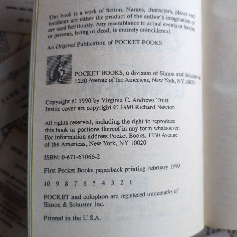 Web of Dreams (Casteel Family #5, Stepback Cover)