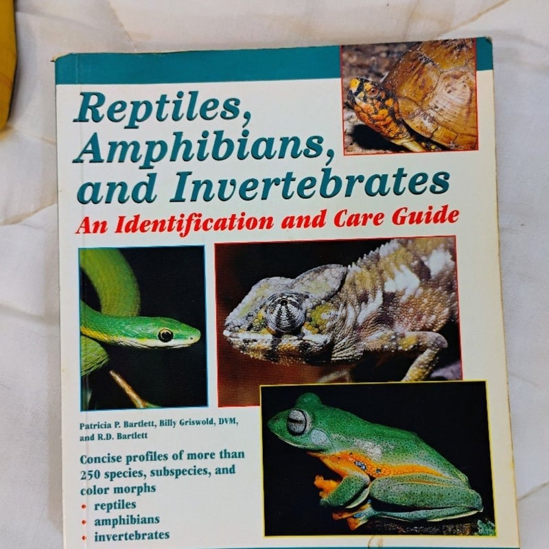 Reptiles, Amphibians, and Invertebrates