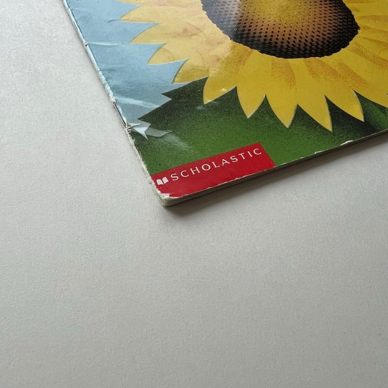 This Is the Sunflower