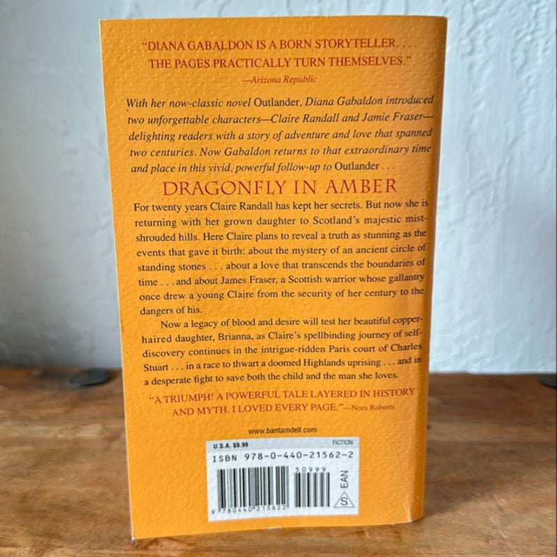 Dragonfly in Amber