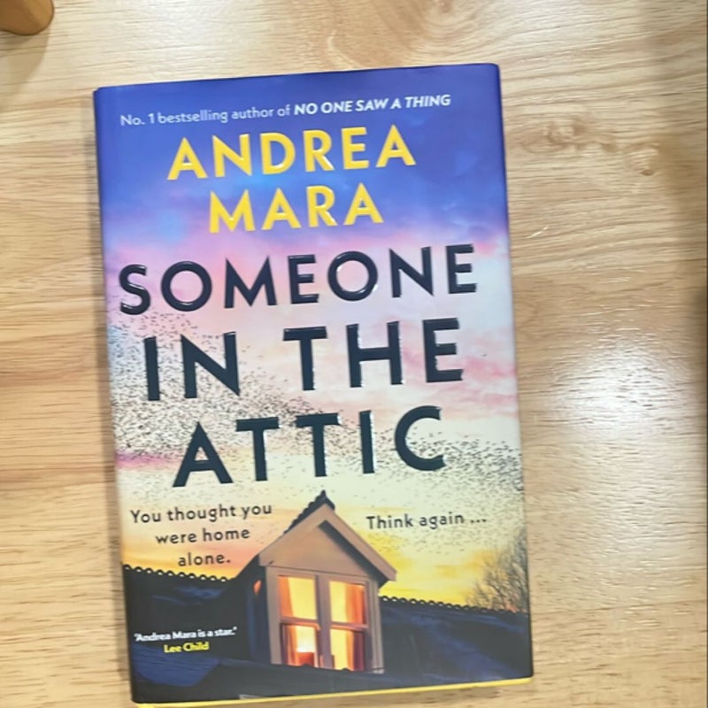 Someone in the Attic