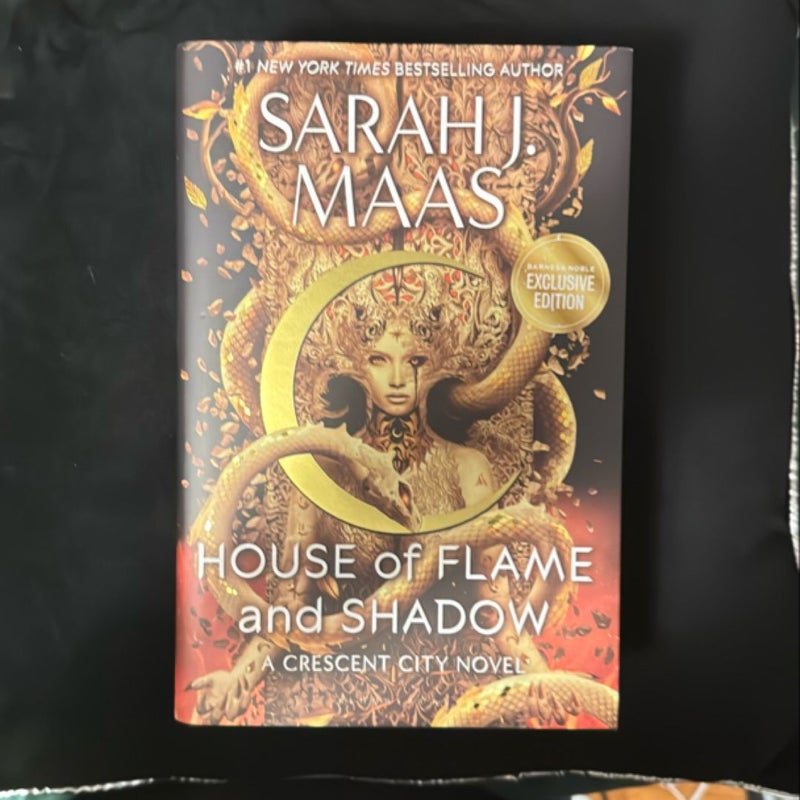 House of Flame and Shadow