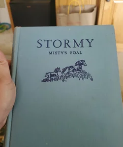 Stormy mistys foal