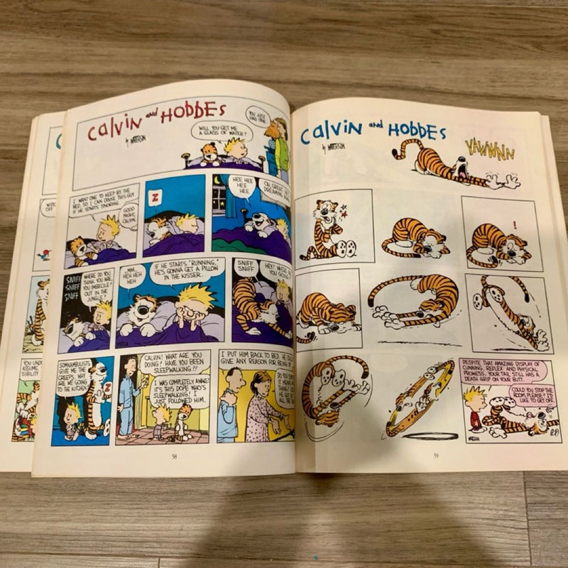 The Calvin and Hobbes Lazy Sunday Book