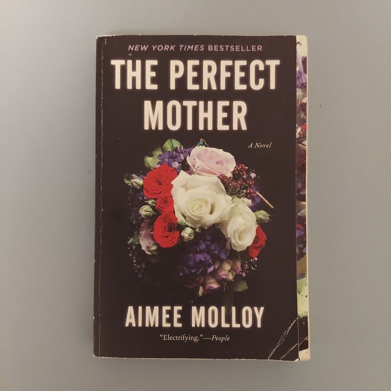 The Perfect Mother