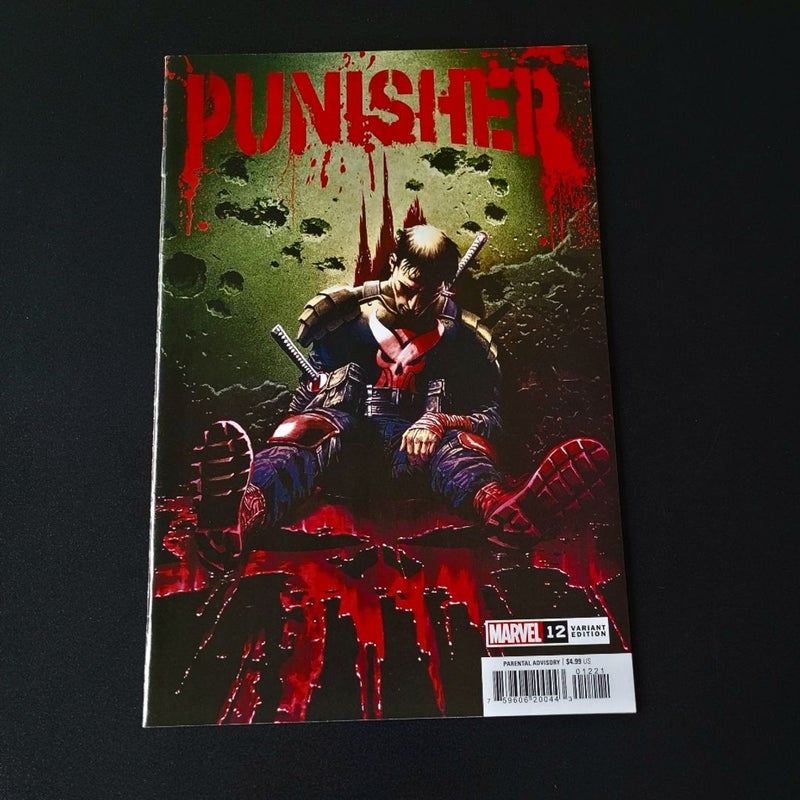 Punisher #12