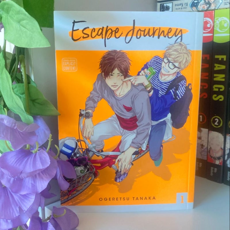 Escape Journey, Vol. 1