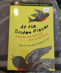 At the Broken Places