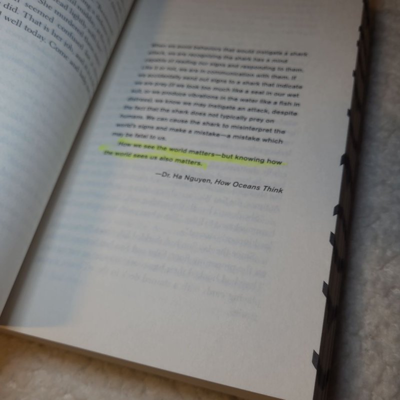 The Mountain in the Sea