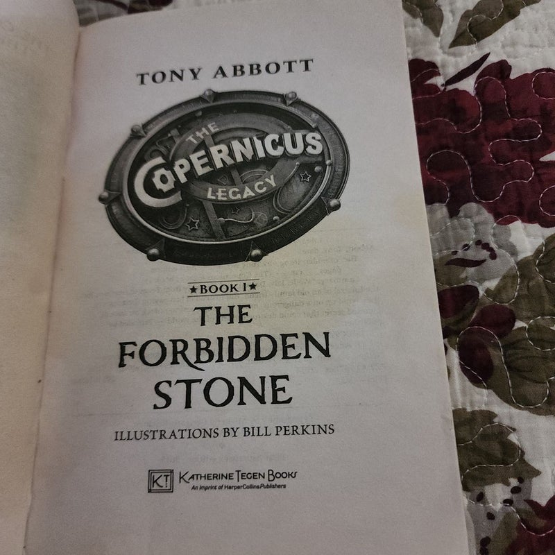 The Copernicus Legacy: the Forbidden Stone