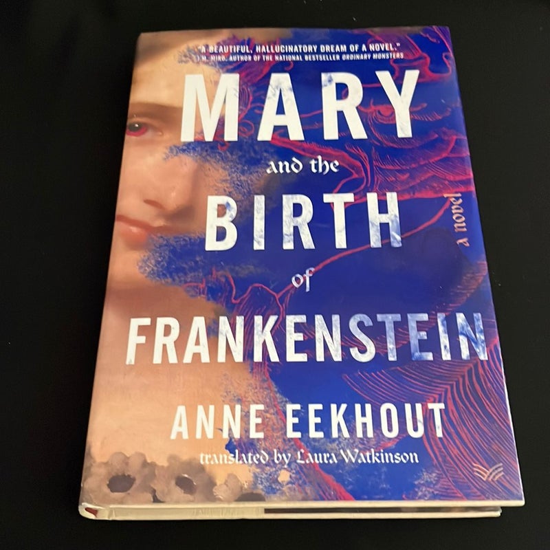 Mary and the Birth of Frankenstein