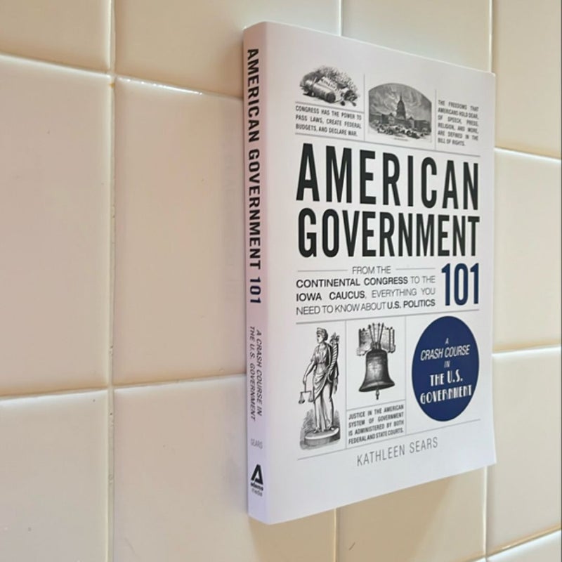 American Government 101
