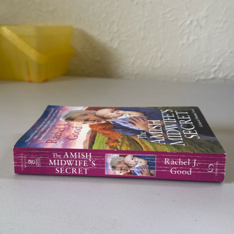 The Amish Midwife's Secret