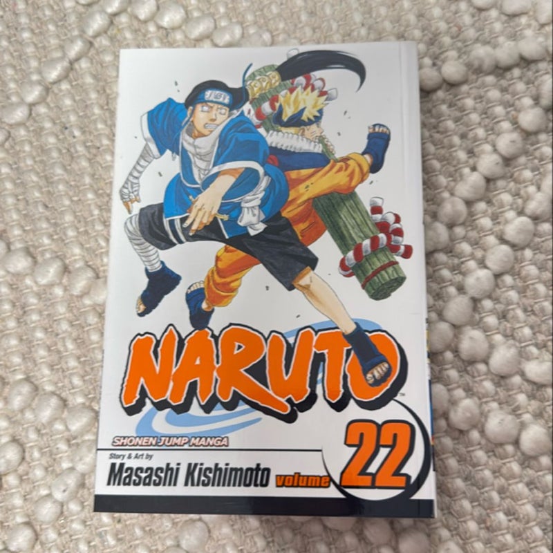 Naruto, Vol. 22