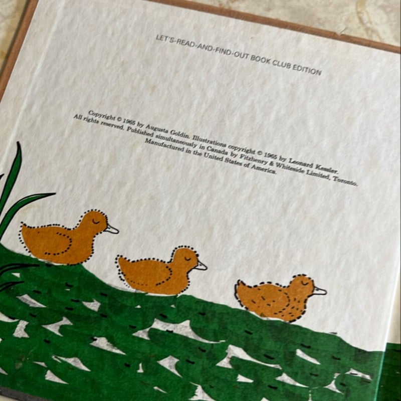 Ducks Don’t Get Wet