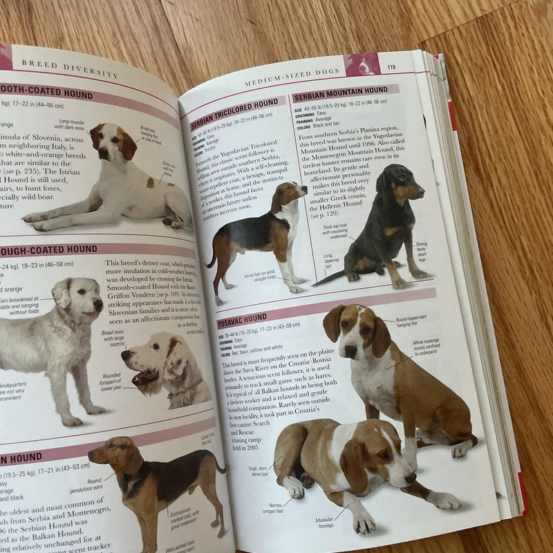 Dogs: Visual Reference Guides