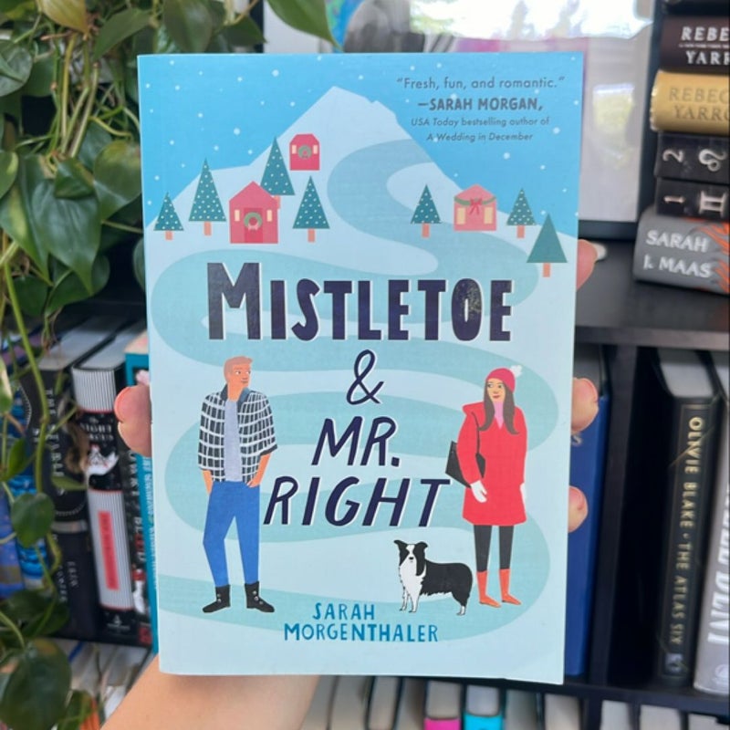 Mistletoe and Mr. Right