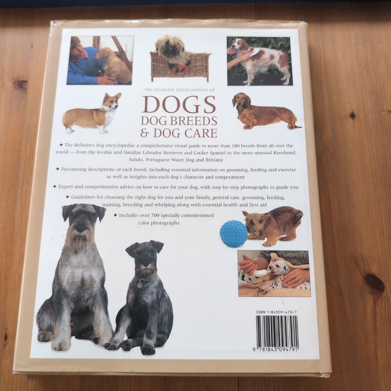 Dogs Dog Breeds and Dog Care