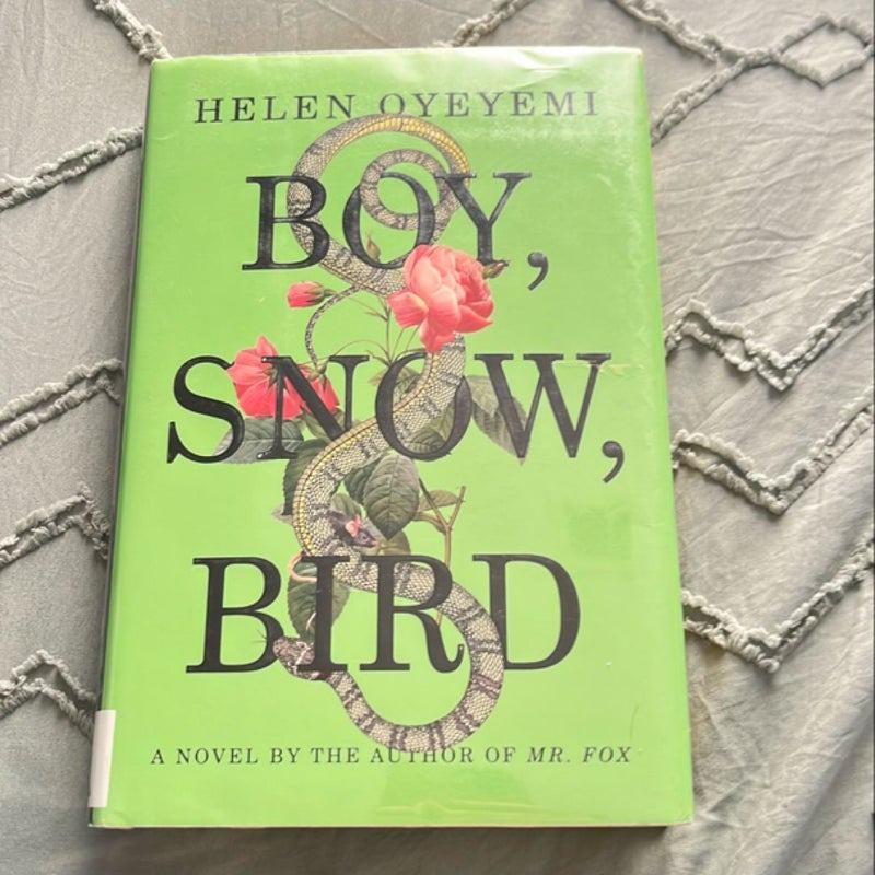 Boy, Snow, Bird