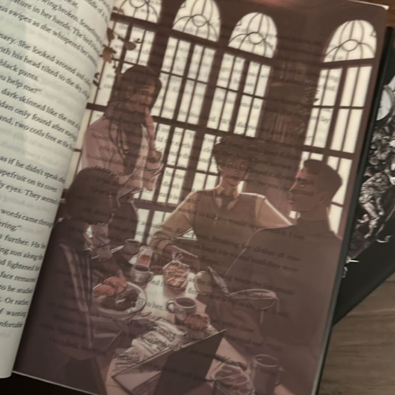 Immortal Dark (Deluxe Limited Edition)