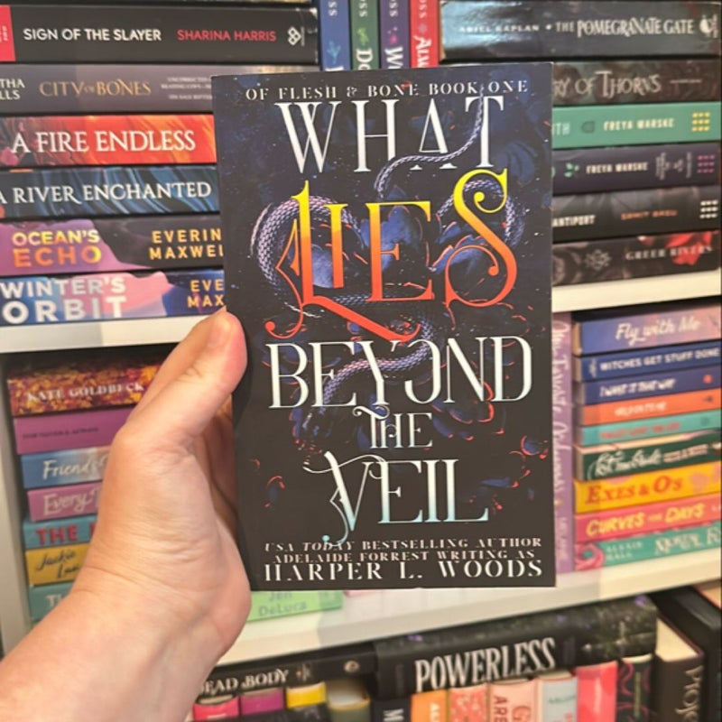 What Lies Beyond the Veil *SIGNED*OOP*