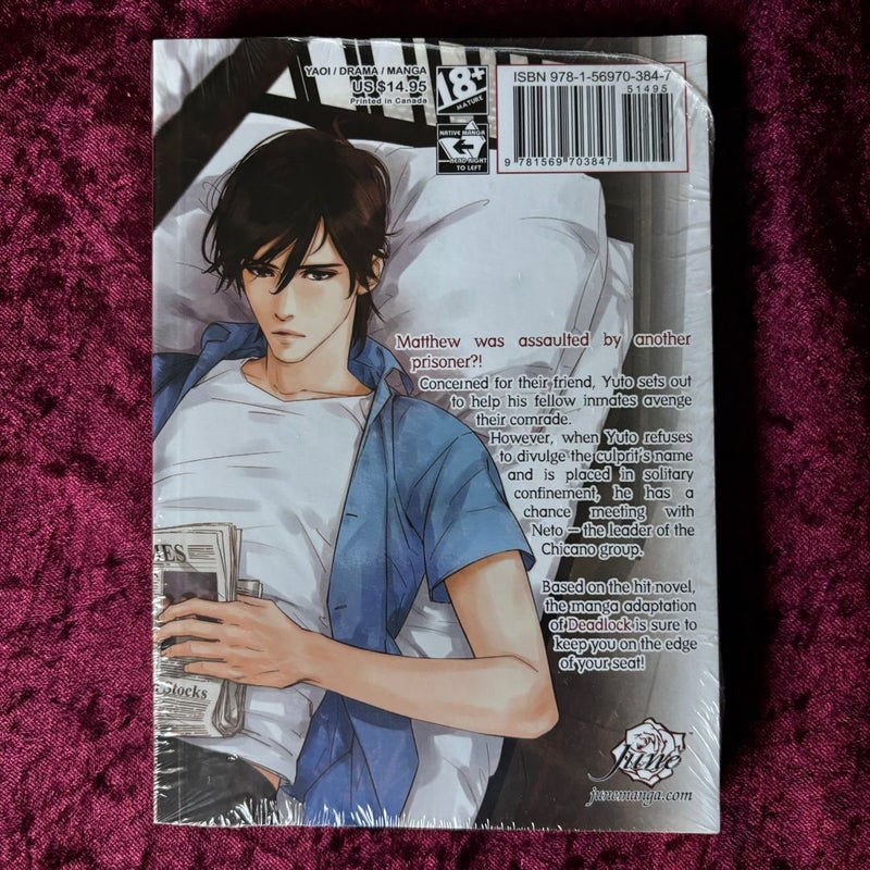 Deadlock Volume 2 (Yaoi Manga)