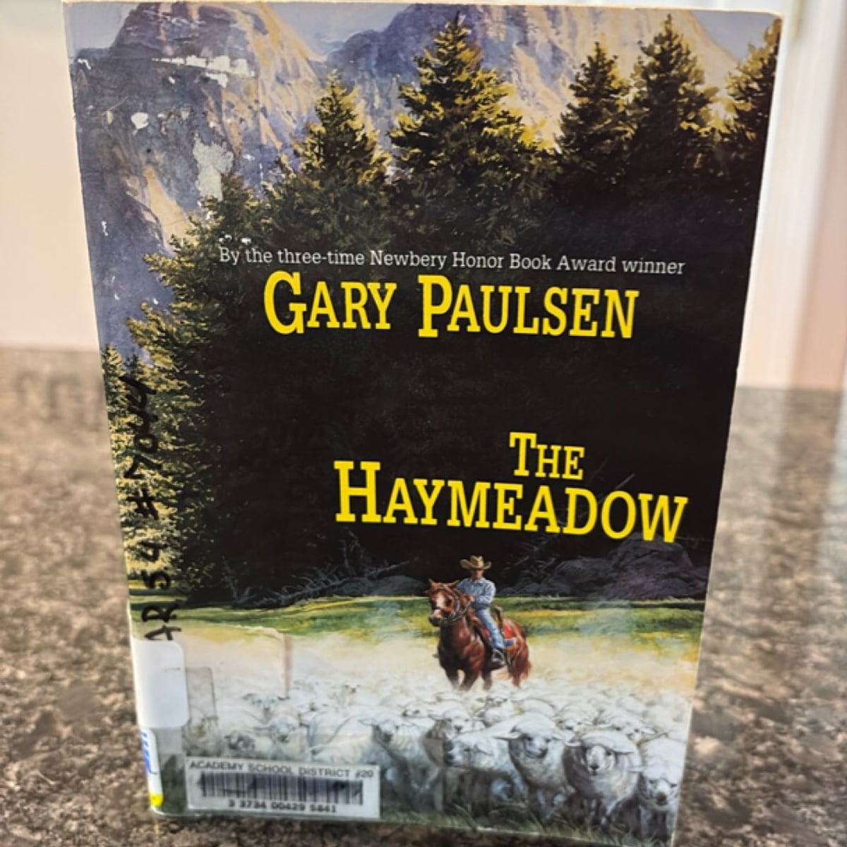 The Haymeadow by Gary Paulsen