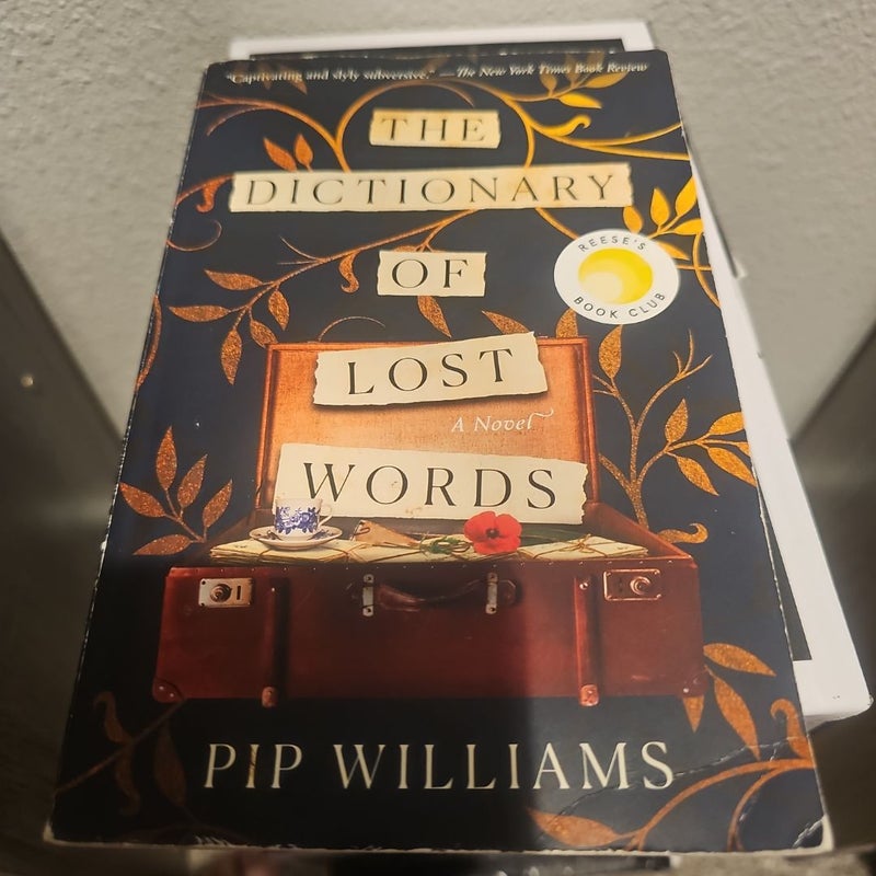 The Dictionary of Lost Words