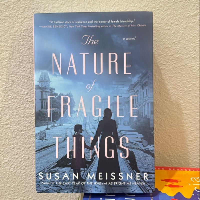 The Nature of Fragile Things