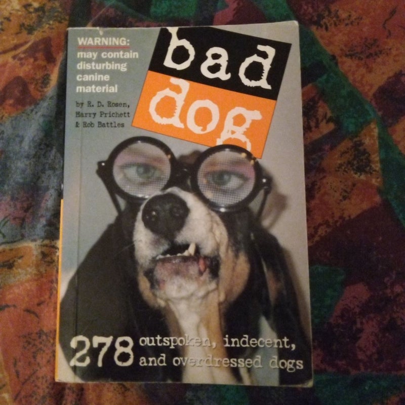 Bad Dog